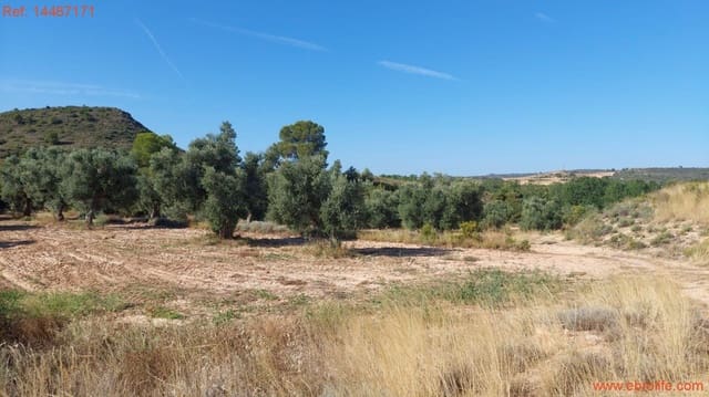 1 bedroom Finca/Country House for sale in Maella - € 22,000 (Ref: 9142480)