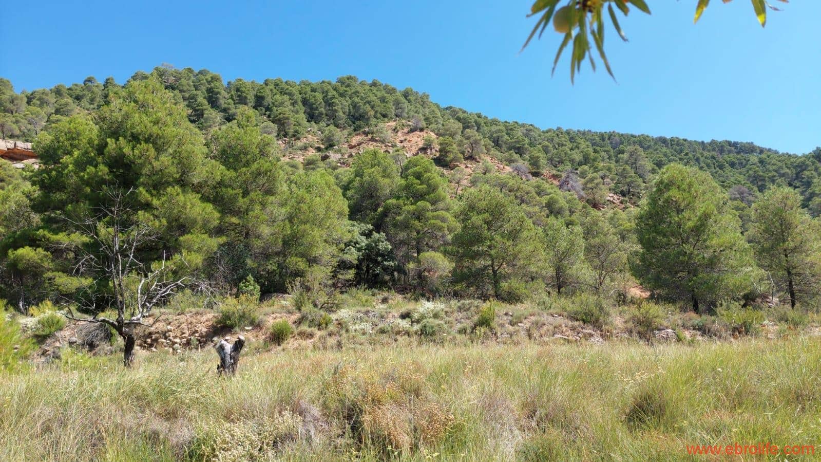 1 soveværelse Finca/Landehus til salg i Fuentespalda - € 38.000 (Ref: 9143689)