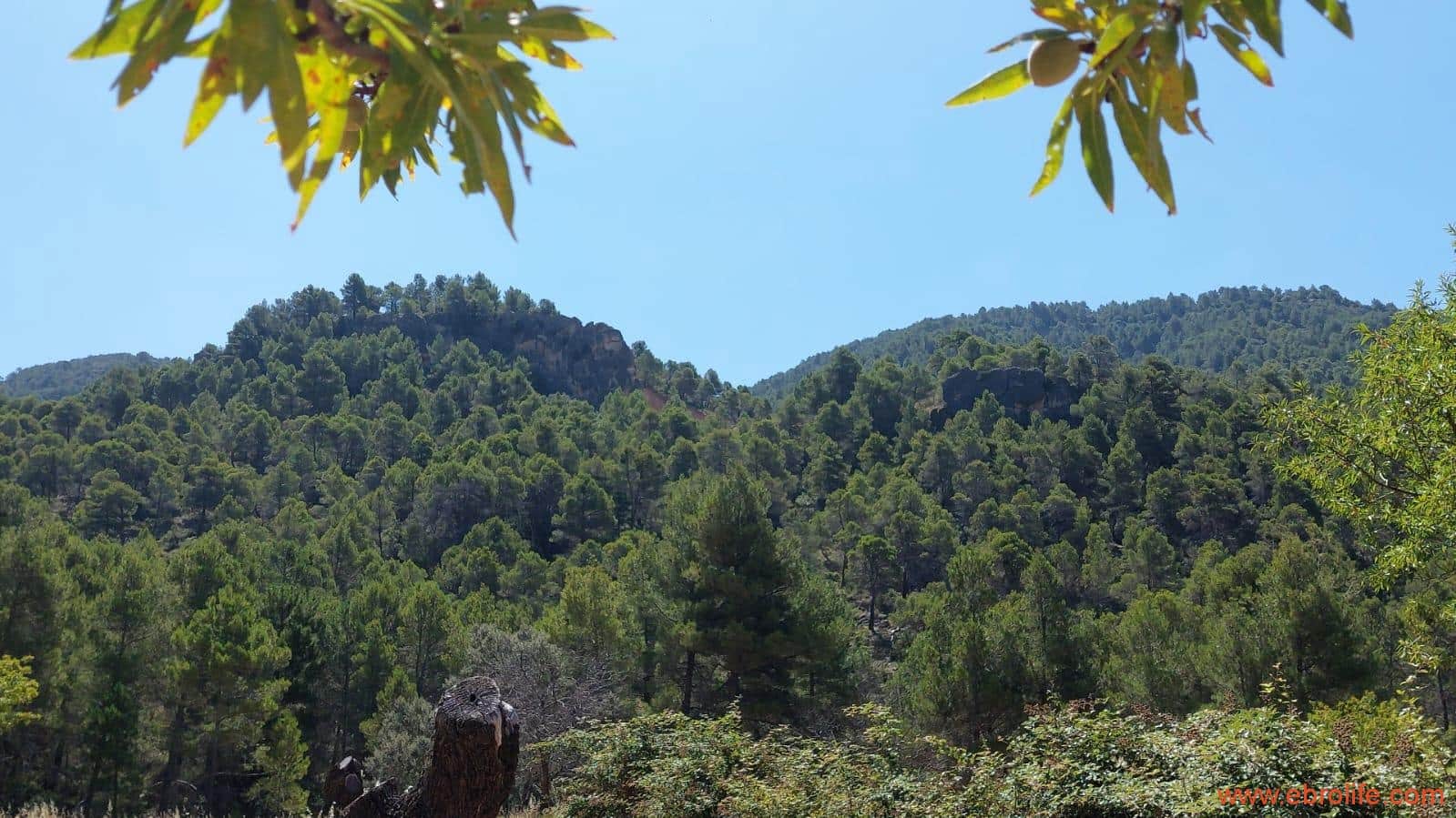 1 soveværelse Finca/Landehus til salg i Fuentespalda - € 38.000 (Ref: 9143689)