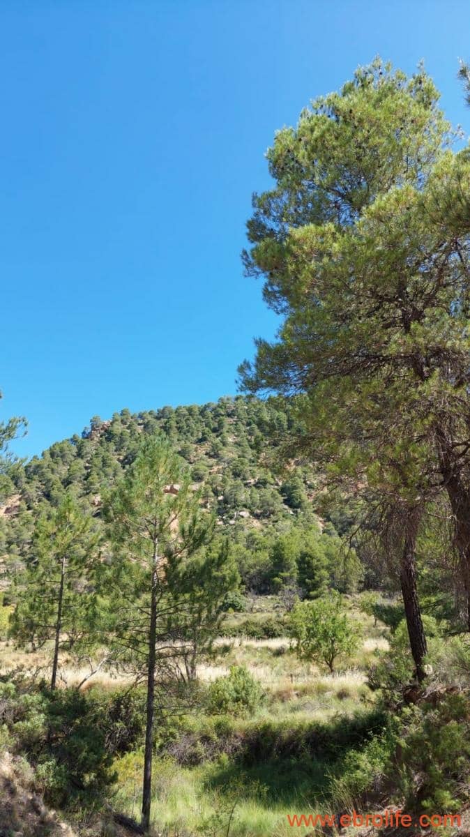 1 soveværelse Finca/Landehus til salg i Fuentespalda - € 38.000 (Ref: 9143689)