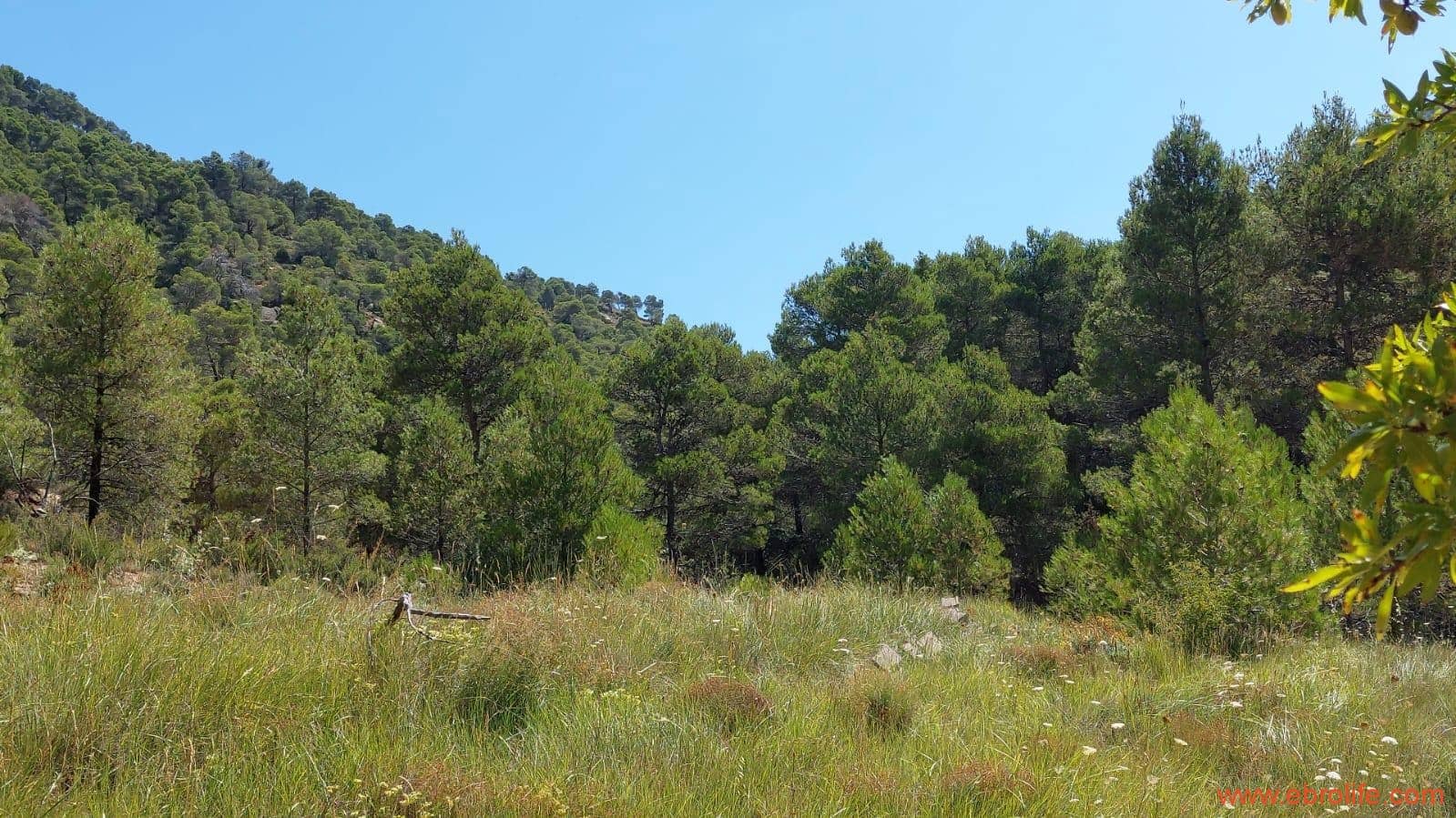 1 soveværelse Finca/Landehus til salg i Fuentespalda - € 38.000 (Ref: 9143689)