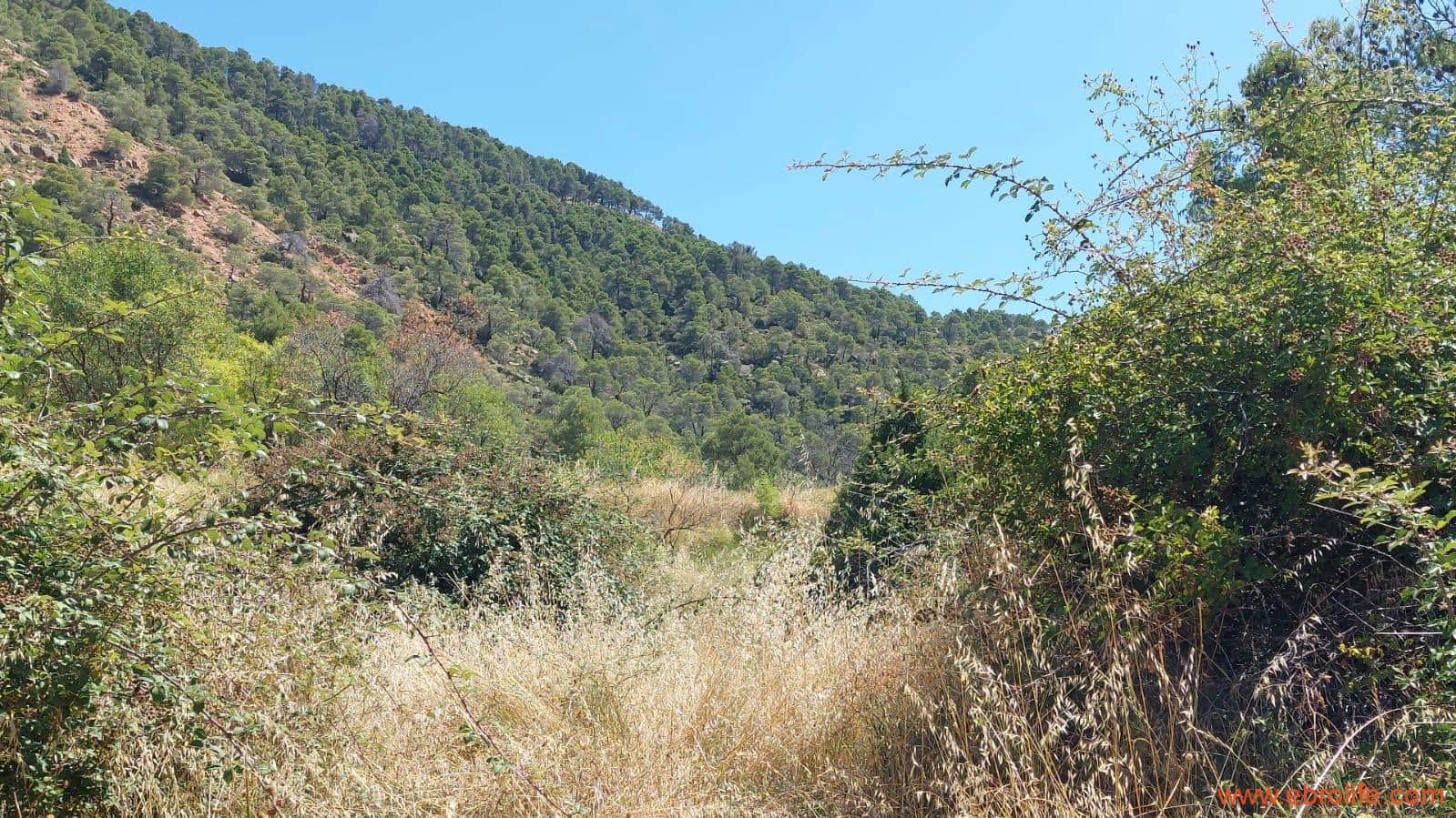 1 soveværelse Finca/Landehus til salg i Fuentespalda - € 38.000 (Ref: 9143689)