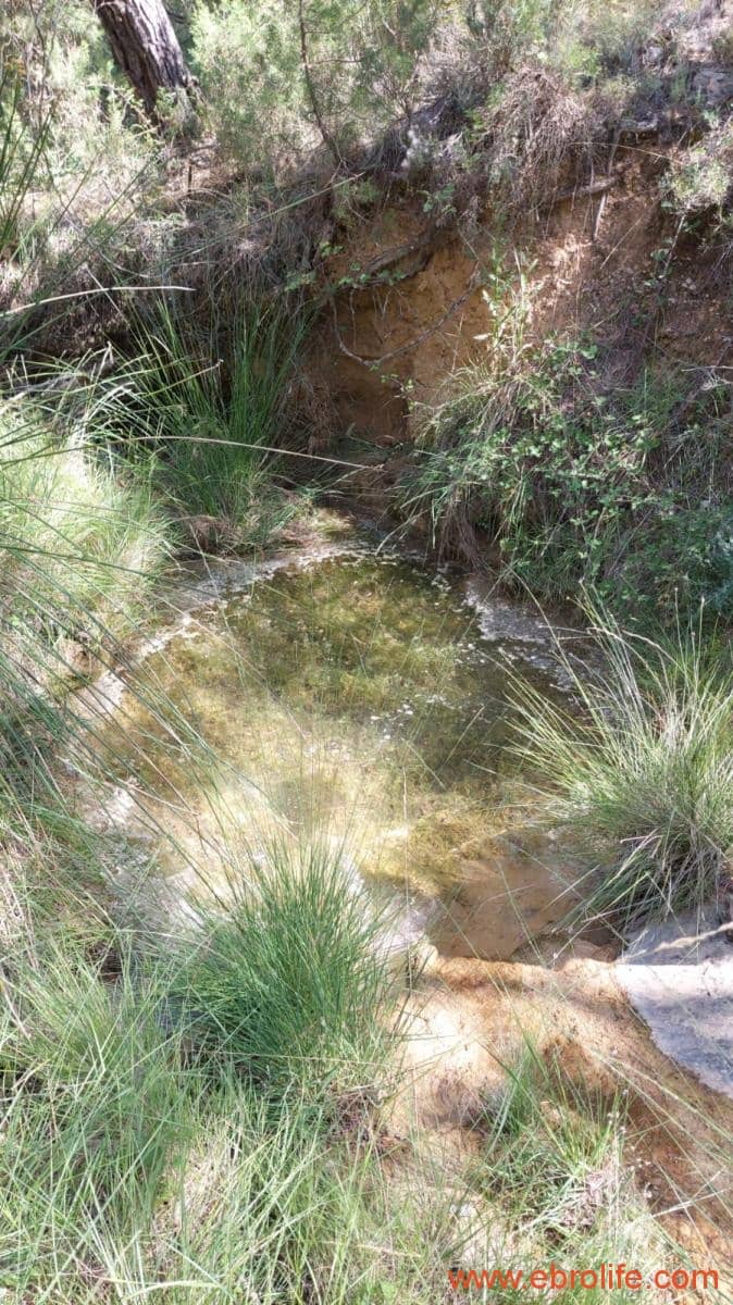 1 soveværelse Finca/Landehus til salg i Fuentespalda - € 38.000 (Ref: 9143689)