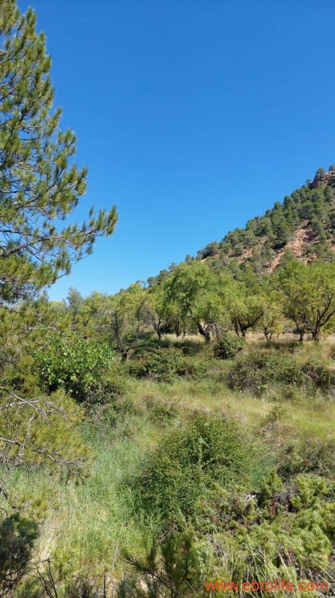 1 soveværelse Finca/Landehus til salg i Fuentespalda - € 38.000 (Ref: 9143689)