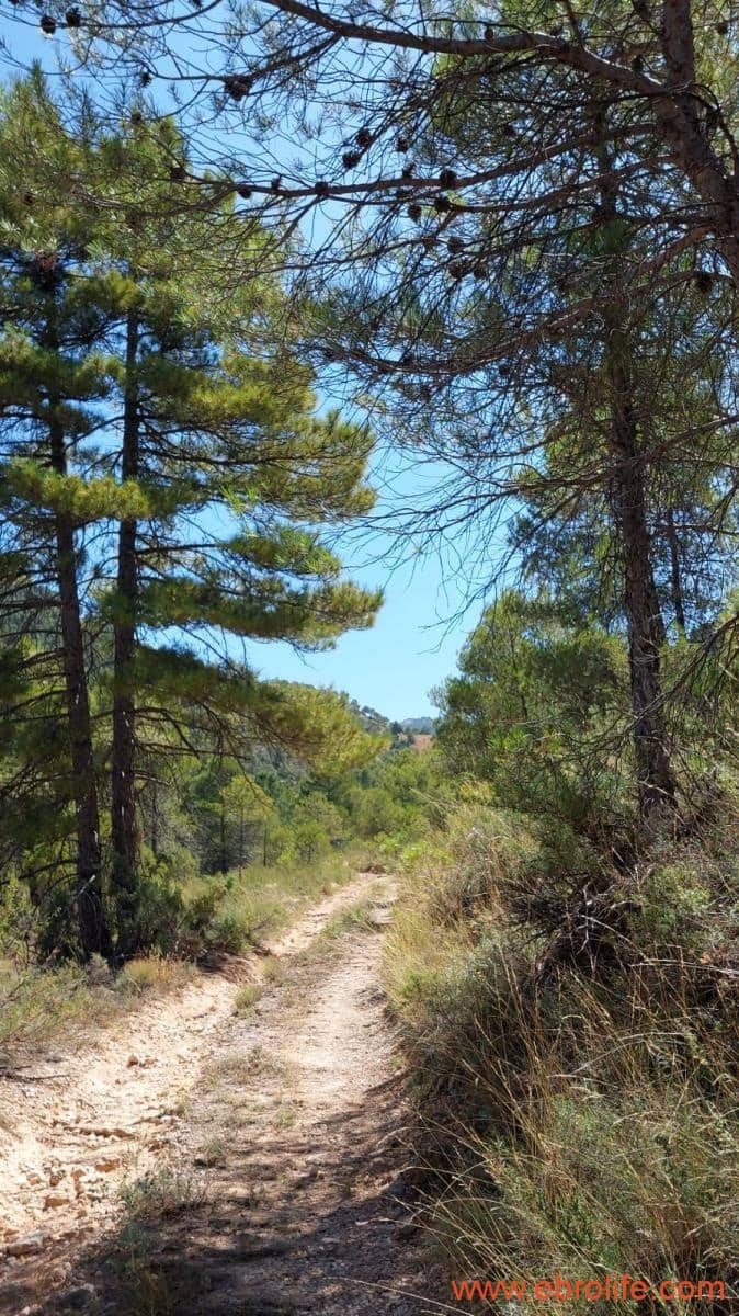 1 soveværelse Finca/Landehus til salg i Fuentespalda - € 38.000 (Ref: 9143689)