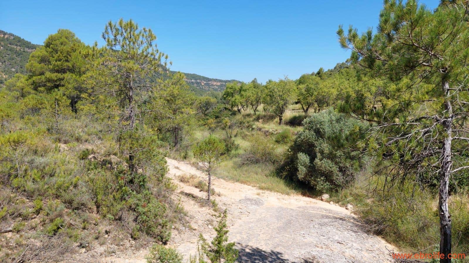 1 soveværelse Finca/Landehus til salg i Fuentespalda - € 38.000 (Ref: 9143689)
