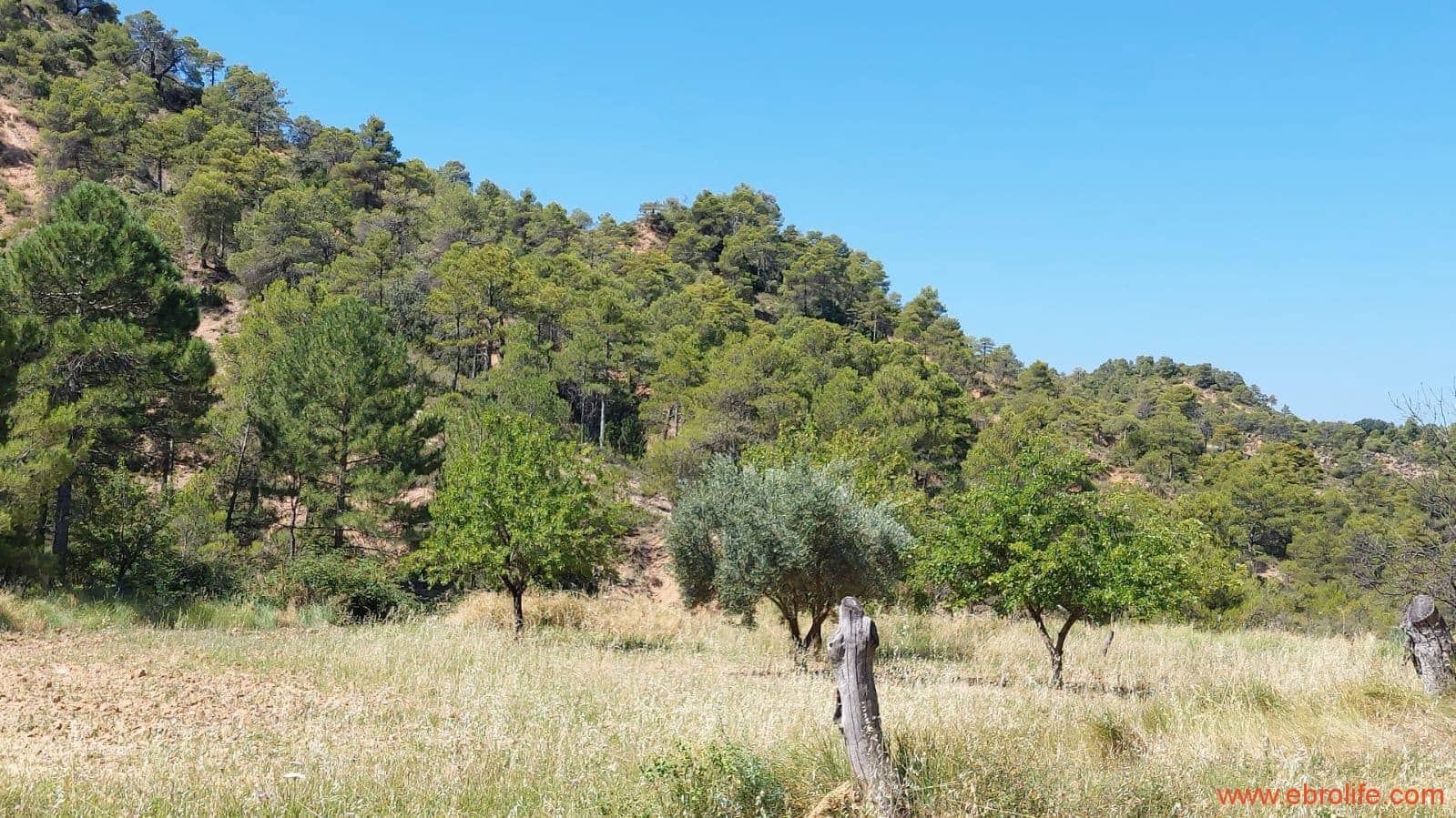 1 soveværelse Finca/Landehus til salg i Fuentespalda - € 38.000 (Ref: 9143689)