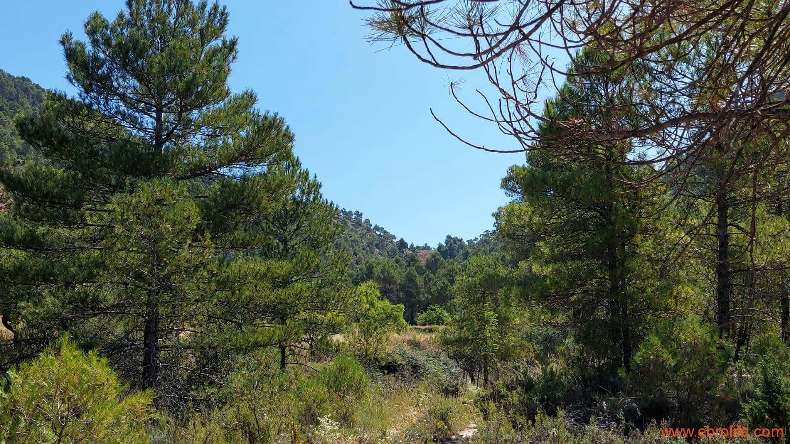 1 soveværelse Finca/Landehus til salg i Fuentespalda - € 38.000 (Ref: 9143689)