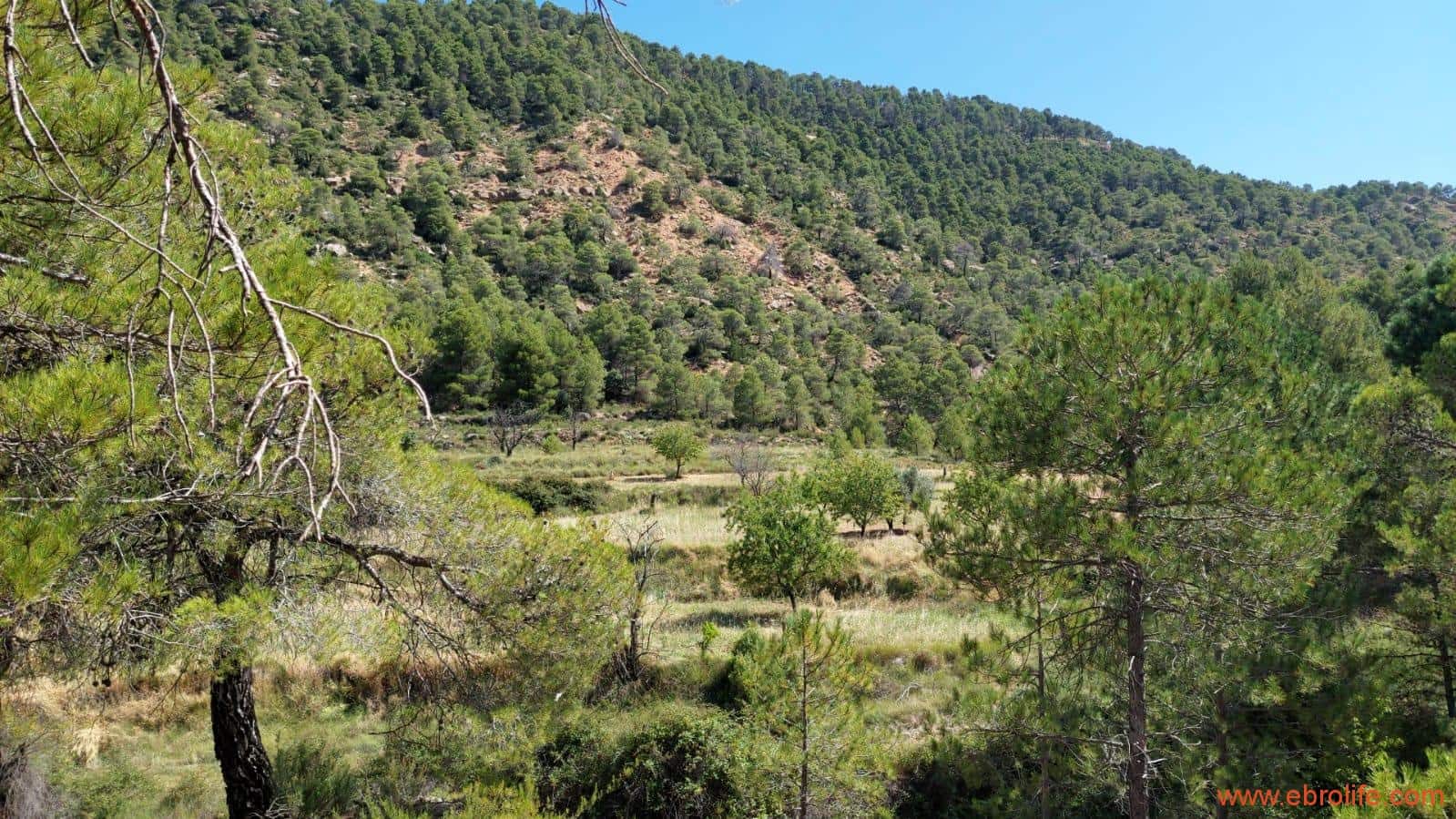 1 soveværelse Finca/Landehus til salg i Fuentespalda - € 38.000 (Ref: 9143689)