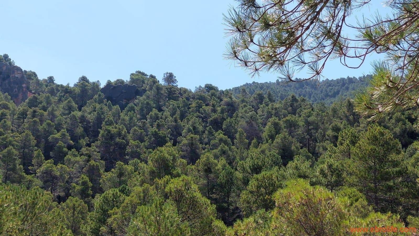 1 soveværelse Finca/Landehus til salg i Fuentespalda - € 38.000 (Ref: 9143689)