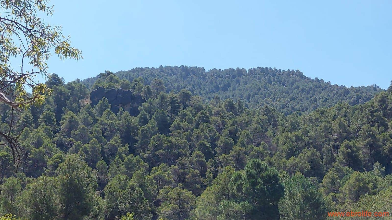 1 soveværelse Finca/Landehus til salg i Fuentespalda - € 38.000 (Ref: 9143689)