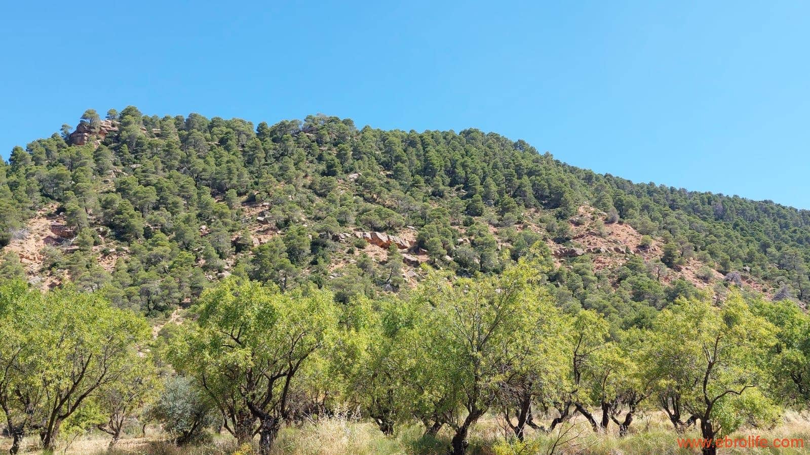 1 soveværelse Finca/Landehus til salg i Fuentespalda - € 38.000 (Ref: 9143689)