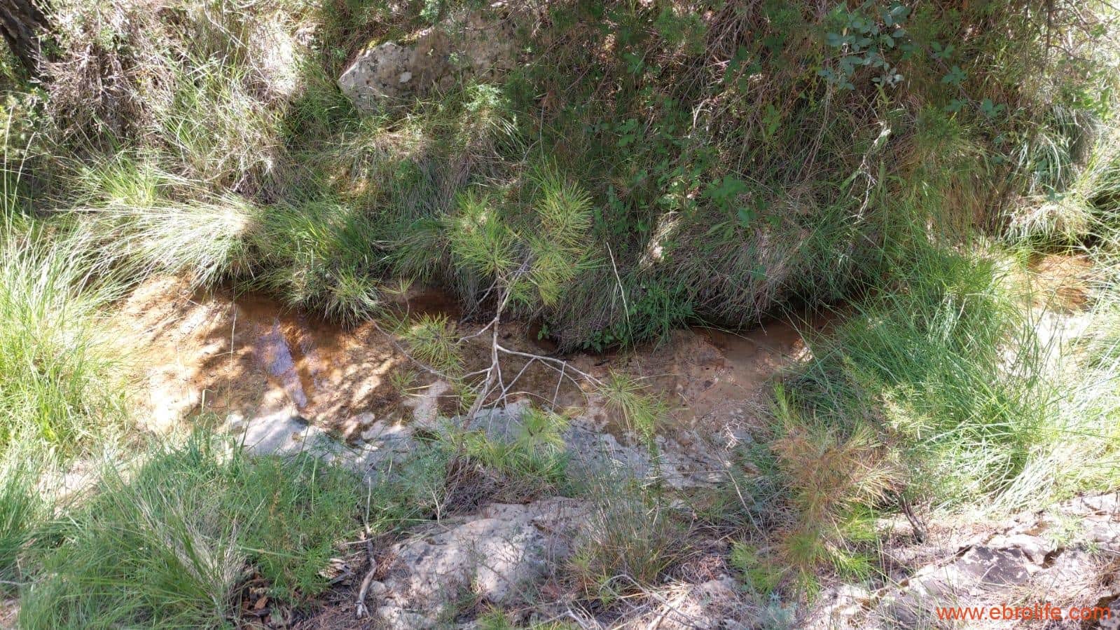 1 soveværelse Finca/Landehus til salg i Fuentespalda - € 38.000 (Ref: 9143689)