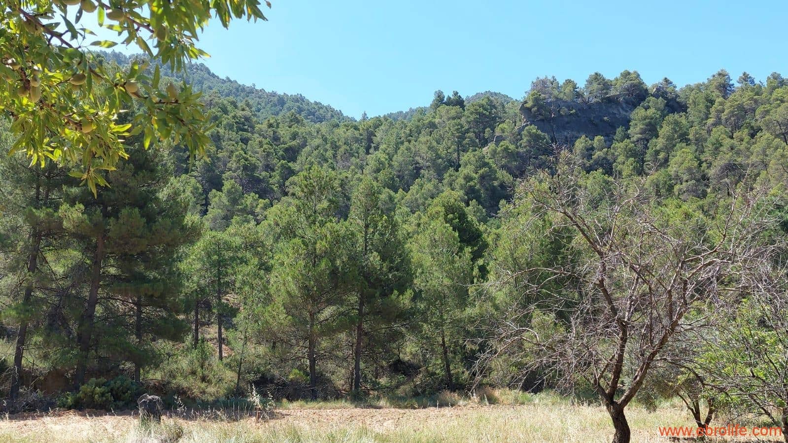 1 soveværelse Finca/Landehus til salg i Fuentespalda - € 38.000 (Ref: 9143689)