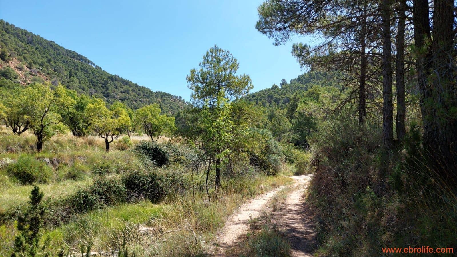 1 soveværelse Finca/Landehus til salg i Fuentespalda - € 38.000 (Ref: 9143689)