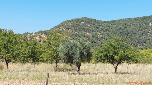 1 quarto Quinta/Casa Rural para venda em Fuentespalda - 38 000 € (Ref: 9143689)