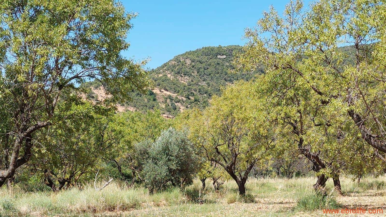 1 soveværelse Finca/Landehus til salg i Fuentespalda - € 38.000 (Ref: 9143689)