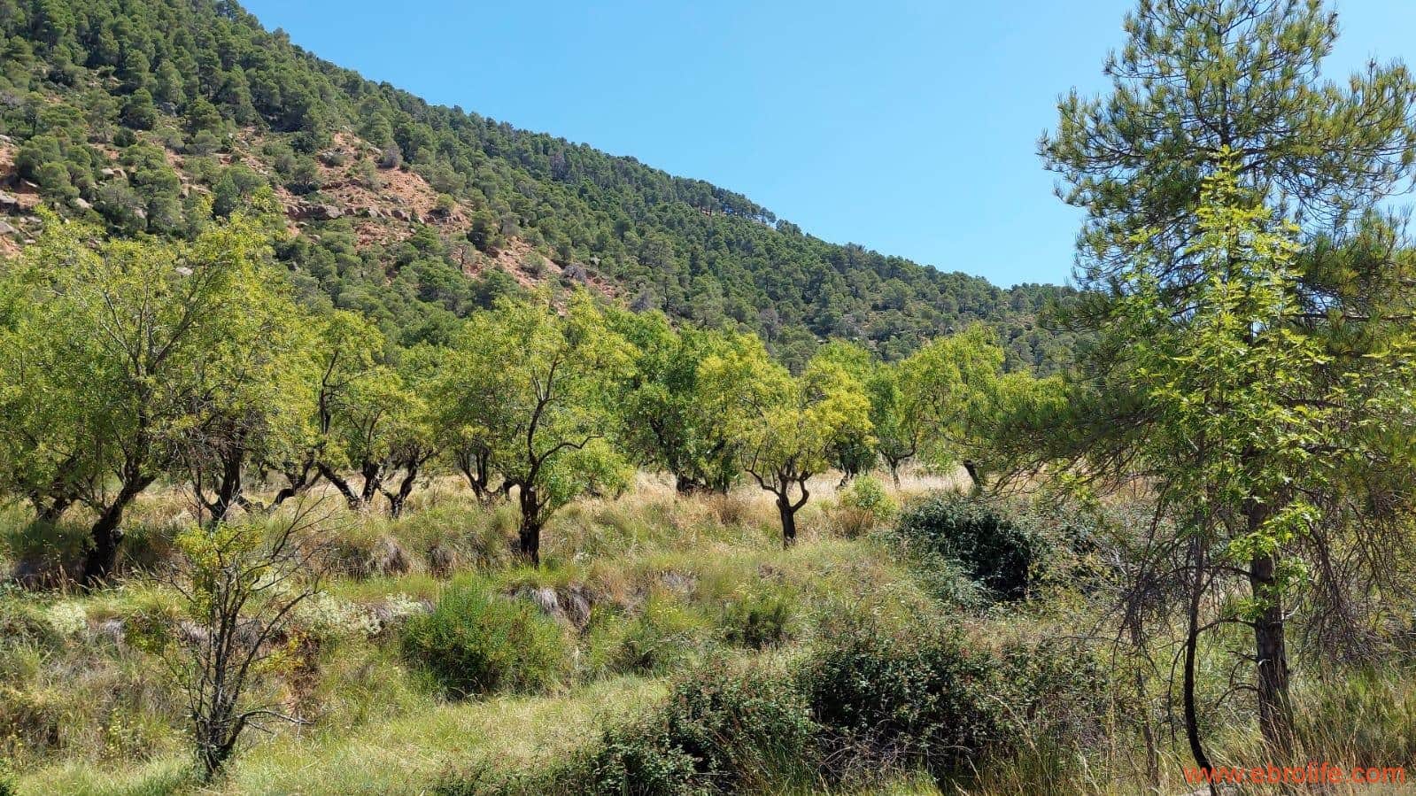 1 soveværelse Finca/Landehus til salg i Fuentespalda - € 38.000 (Ref: 9143689)