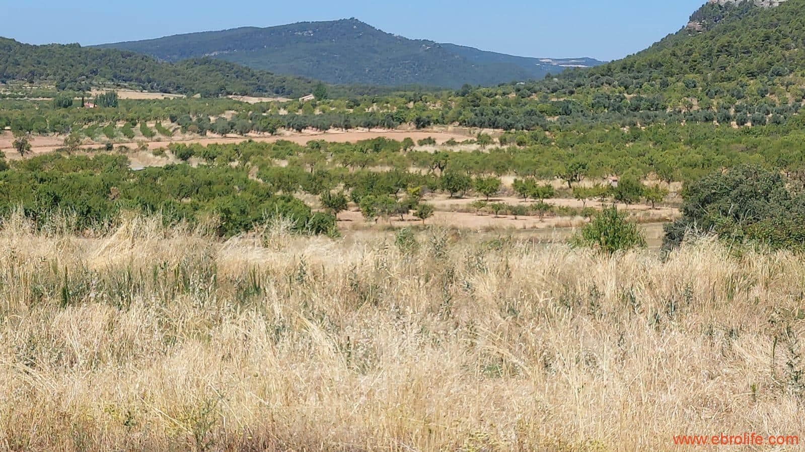 1 soveværelse Finca/Landehus til salg i Fuentespalda - € 36.000 (Ref: 9143702)