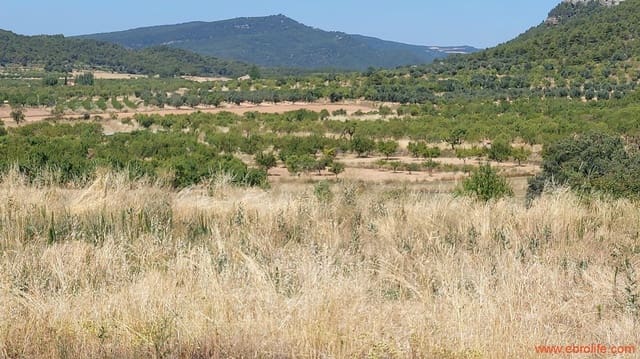 1 Zimmer Finca/Landgut zu verkaufen in Fuentespalda - 36.000 € (Ref: 9143702)