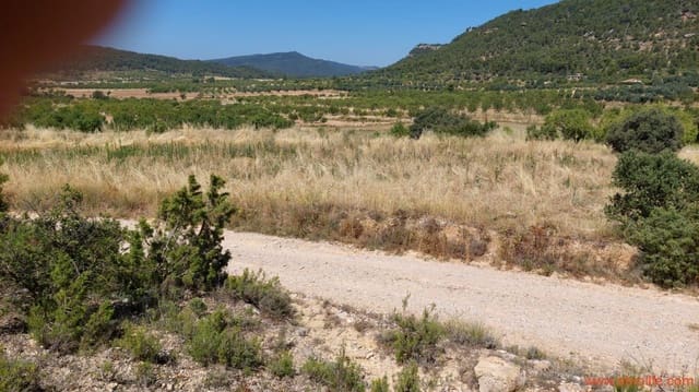 1 Zimmer Finca/Landgut zu verkaufen in Fuentespalda - 36.000 € (Ref: 9143702)