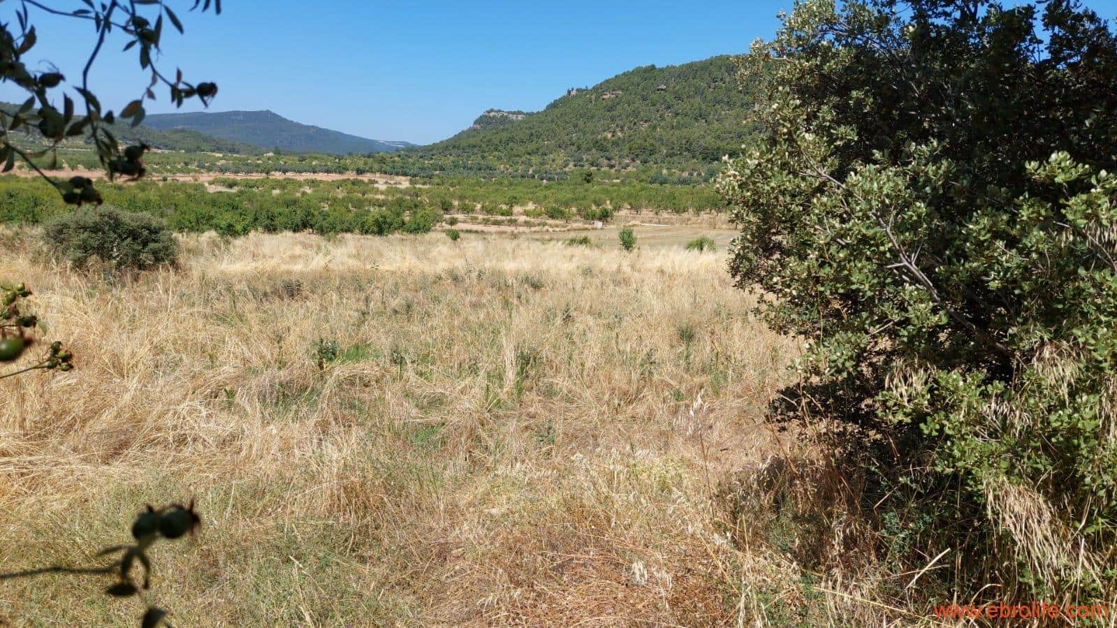 1 soveværelse Finca/Landehus til salg i Fuentespalda - € 36.000 (Ref: 9143702)