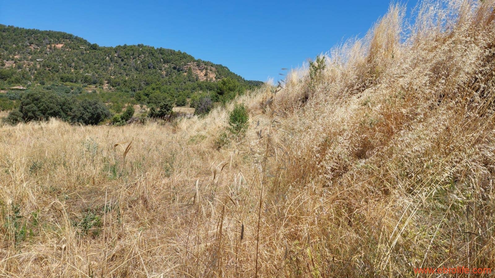 1 soveværelse Finca/Landehus til salg i Fuentespalda - € 36.000 (Ref: 9143702)