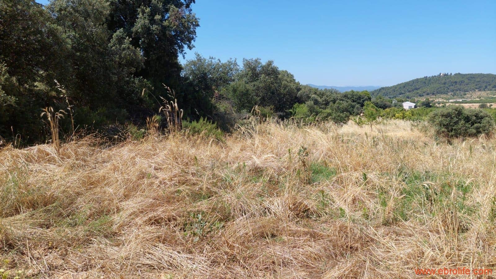 1 soveværelse Finca/Landehus til salg i Fuentespalda - € 36.000 (Ref: 9143702)