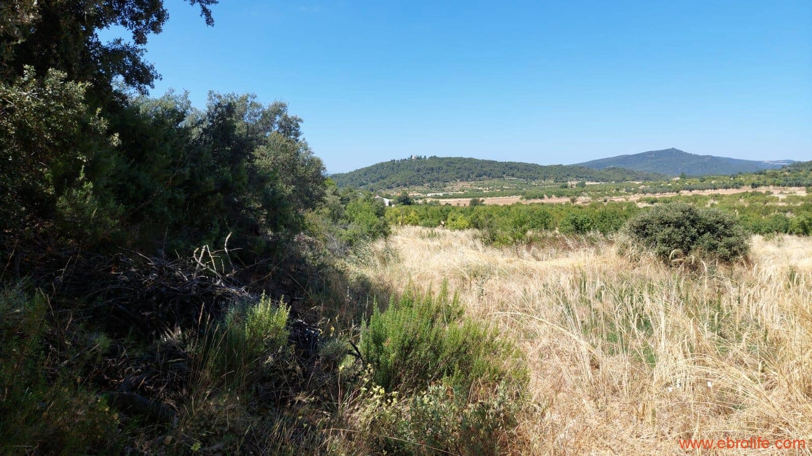 1 soveværelse Finca/Landehus til salg i Fuentespalda - € 36.000 (Ref: 9143702)