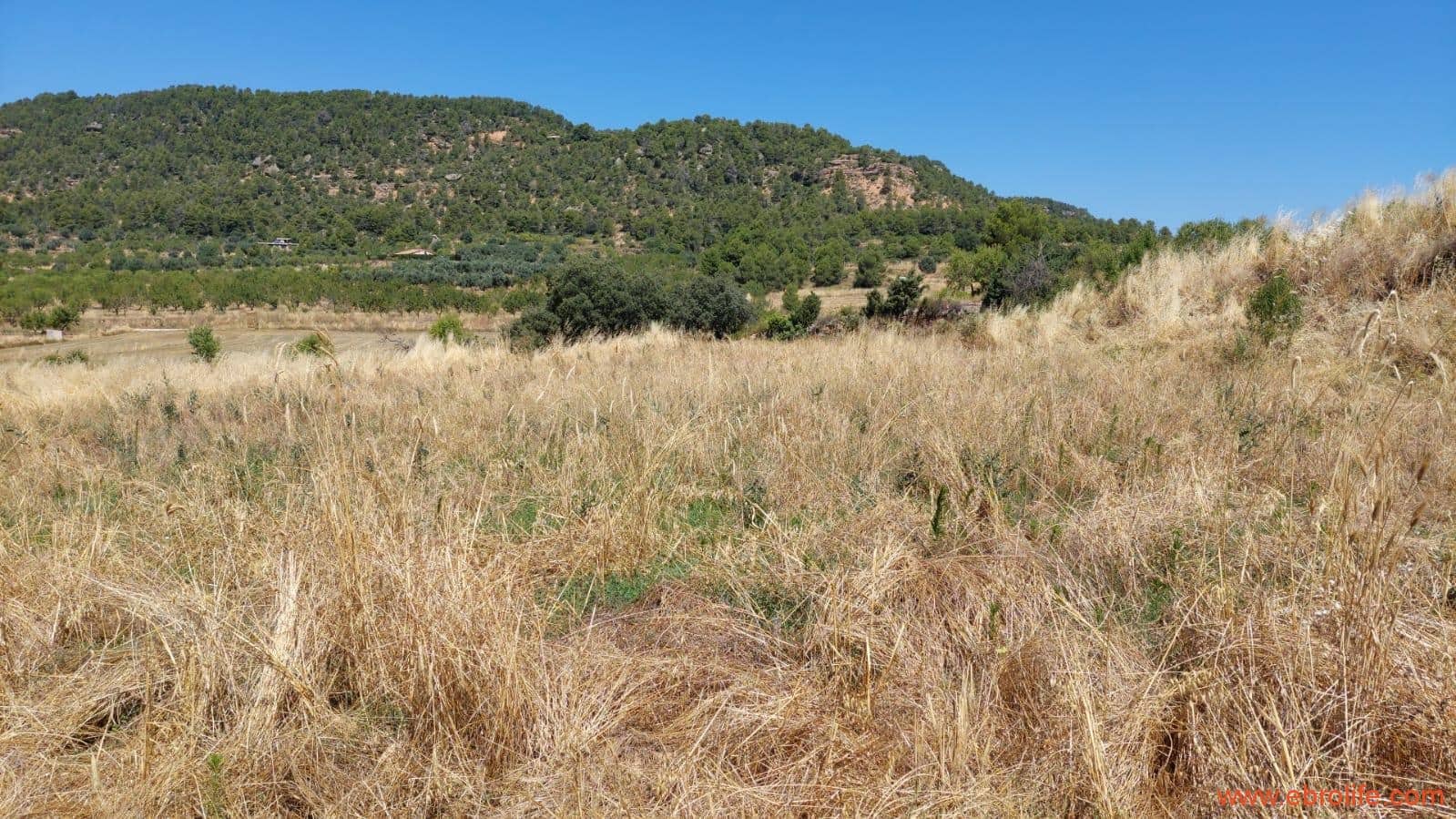 1 soveværelse Finca/Landehus til salg i Fuentespalda - € 36.000 (Ref: 9143702)