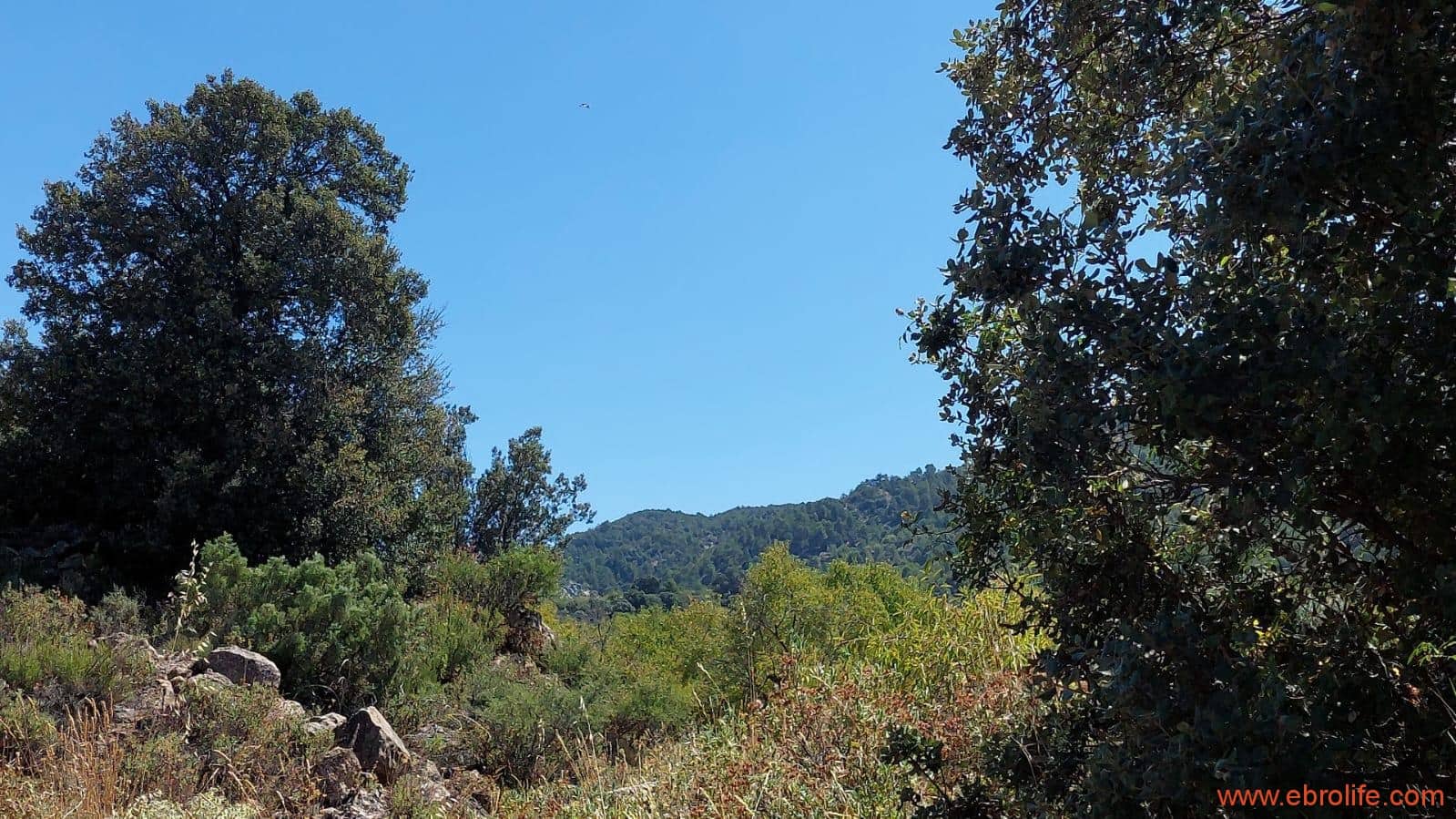 1 soveværelse Finca/Landehus til salg i Fuentespalda - € 36.000 (Ref: 9143702)