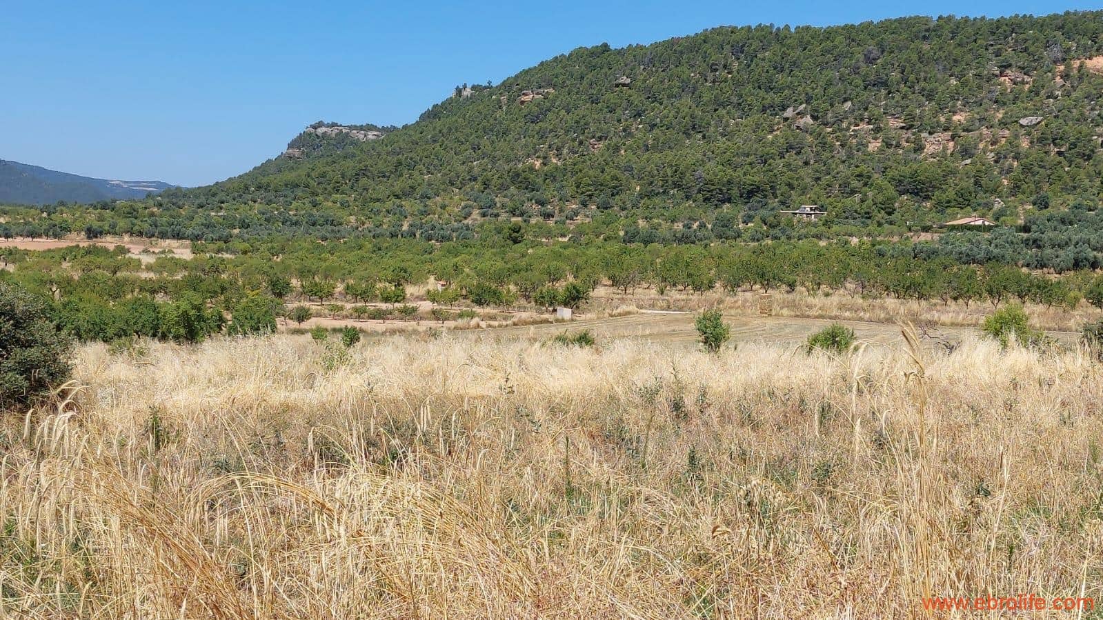 1 soveværelse Finca/Landehus til salg i Fuentespalda - € 36.000 (Ref: 9143702)