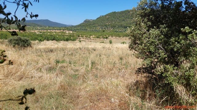 1 Zimmer Finca/Landgut zu verkaufen in Fuentespalda - 36.000 € (Ref: 9143702)