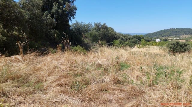 1 Zimmer Finca/Landgut zu verkaufen in Fuentespalda - 36.000 € (Ref: 9143702)