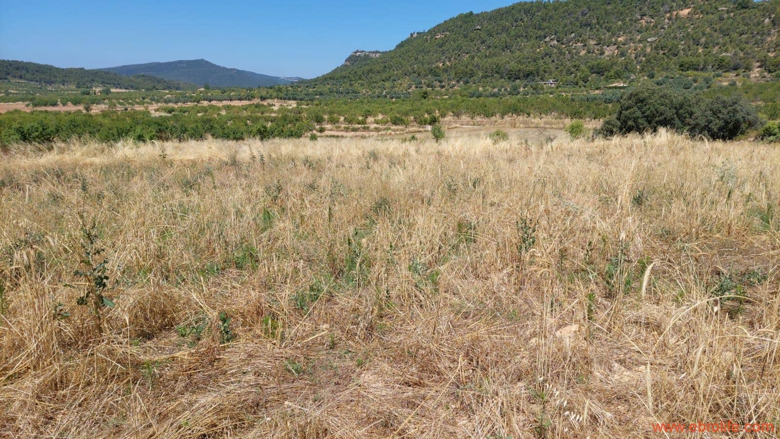 1 soveværelse Finca/Landehus til salg i Fuentespalda - € 36.000 (Ref: 9143702)