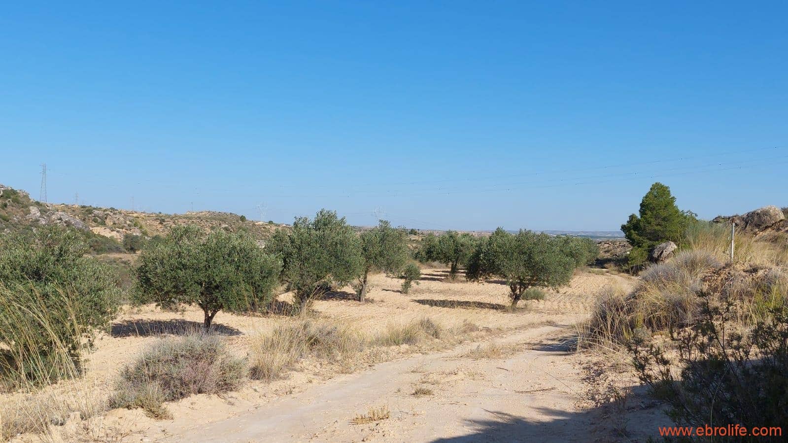 1 soveværelse Finca/Landehus til salg i Caspe - € 125.000 (Ref: 9248378)