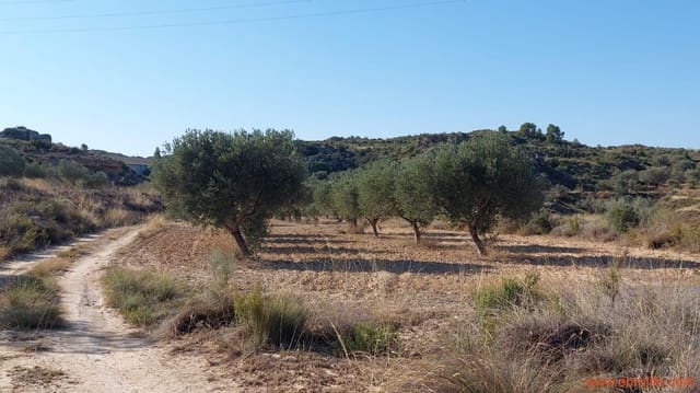 1 bedroom Finca/Country House for sale in Caspe - € 125,000 (Ref: 9248378)
