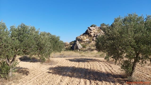 1 bedroom Finca/Country House for sale in Caspe - € 125,000 (Ref: 9248378)