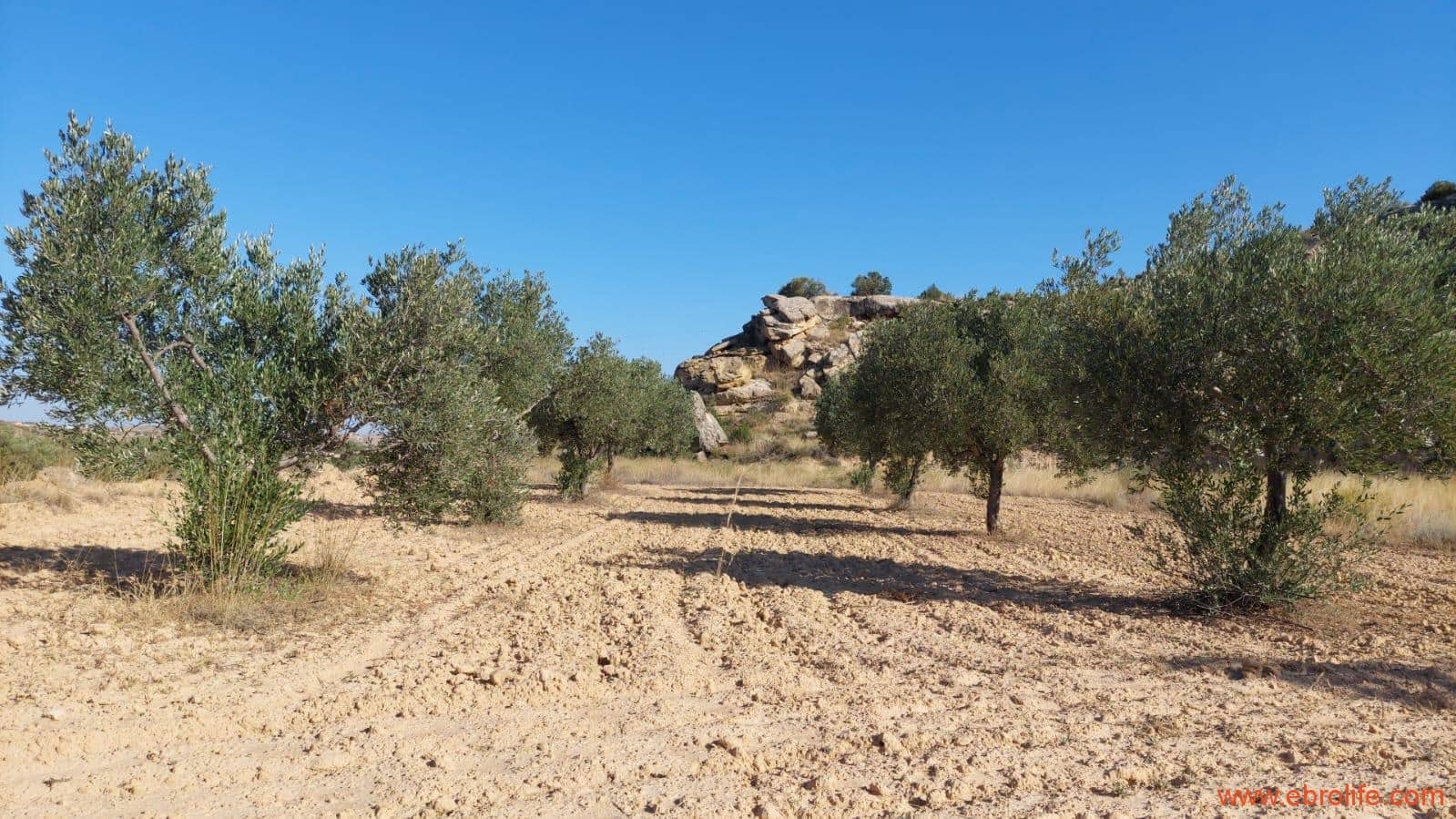 1 soveværelse Finca/Landehus til salg i Caspe - € 125.000 (Ref: 9248378)