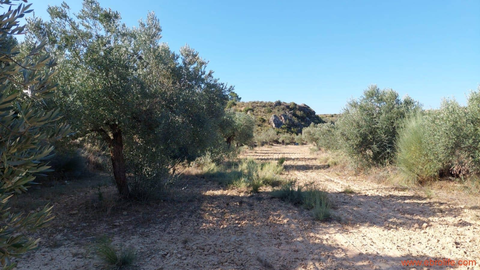 1 soveværelse Finca/Landehus til salg i Caspe - € 125.000 (Ref: 9248378)