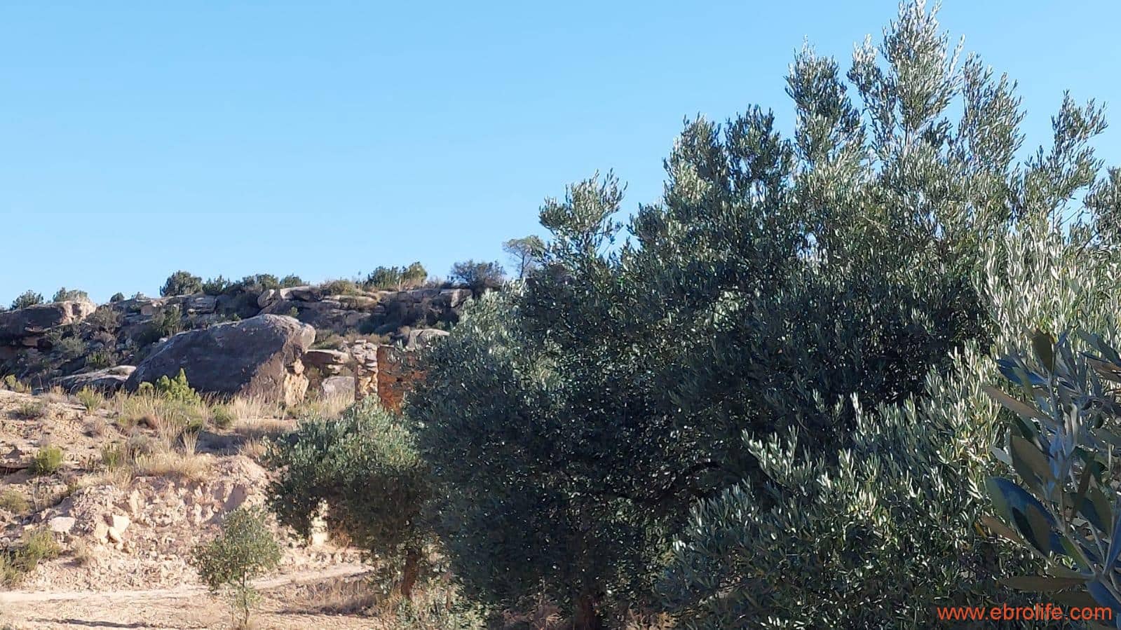 1 soveværelse Finca/Landehus til salg i Caspe - € 125.000 (Ref: 9248378)