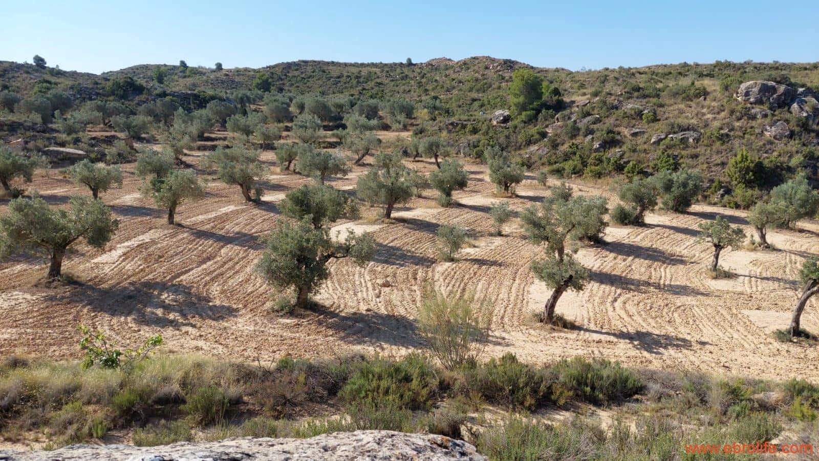 1 soveværelse Finca/Landehus til salg i Caspe - € 125.000 (Ref: 9248378)