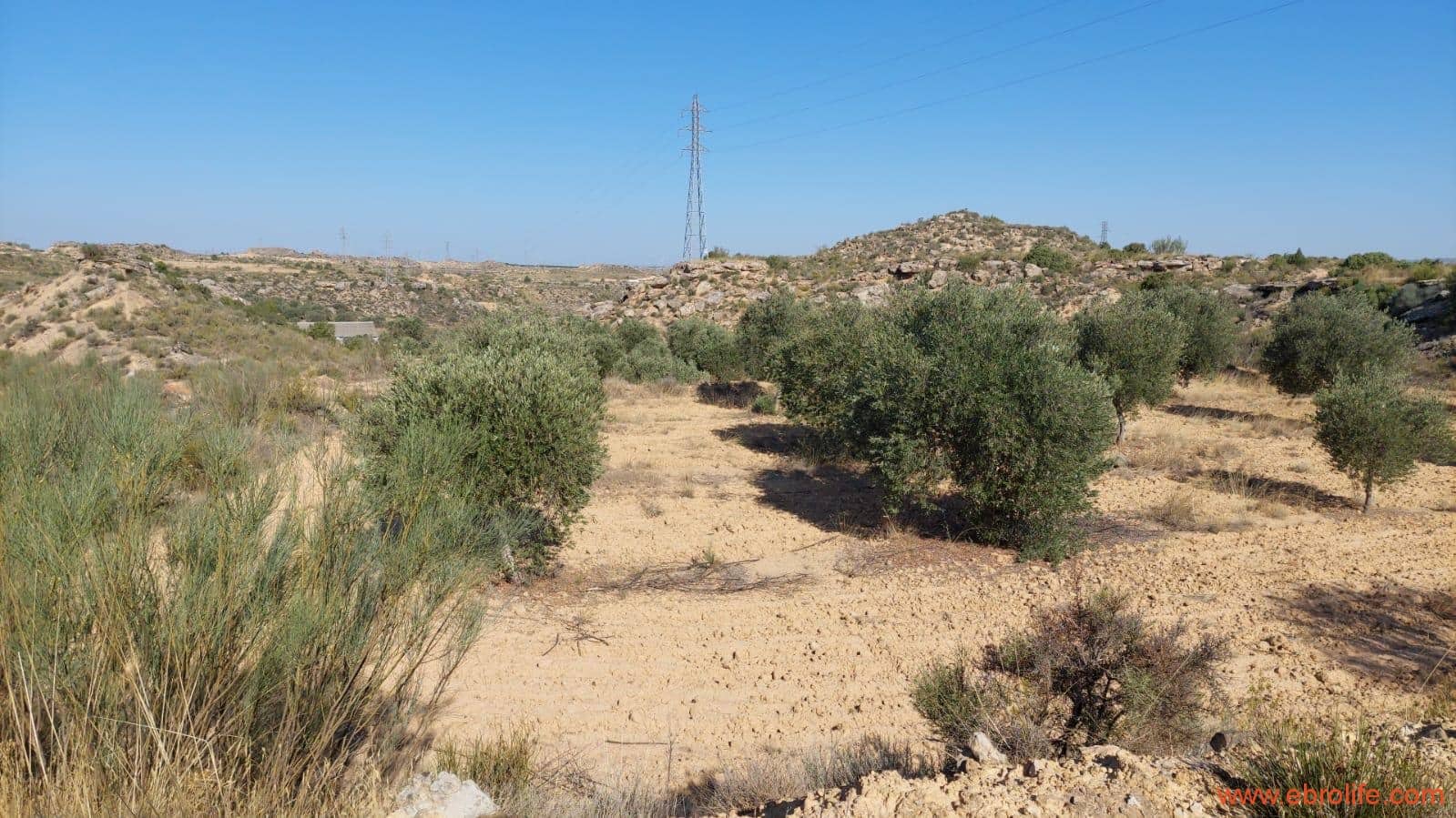 1 soveværelse Finca/Landehus til salg i Caspe - € 125.000 (Ref: 9248378)