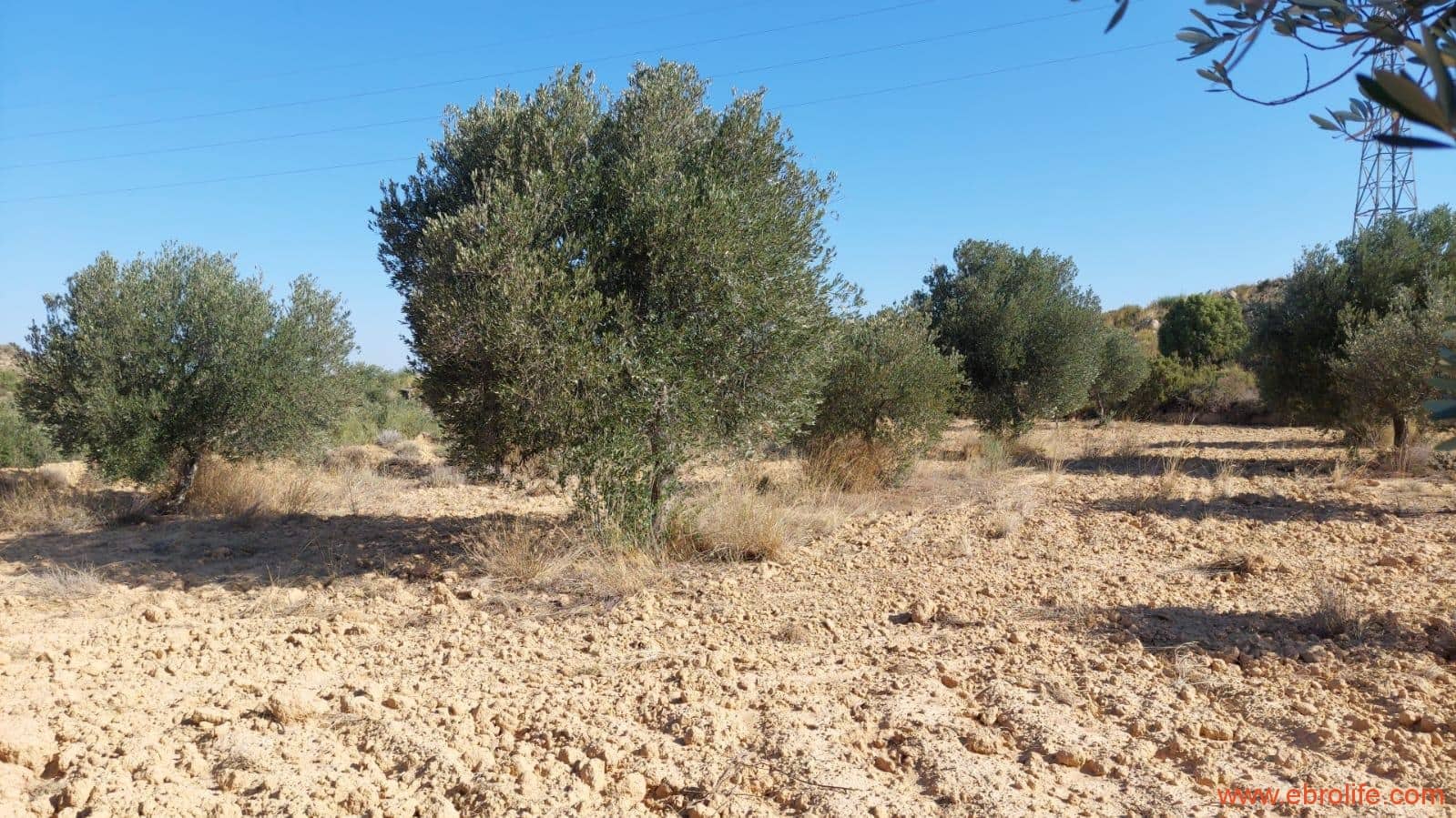 1 soveværelse Finca/Landehus til salg i Caspe - € 125.000 (Ref: 9248378)