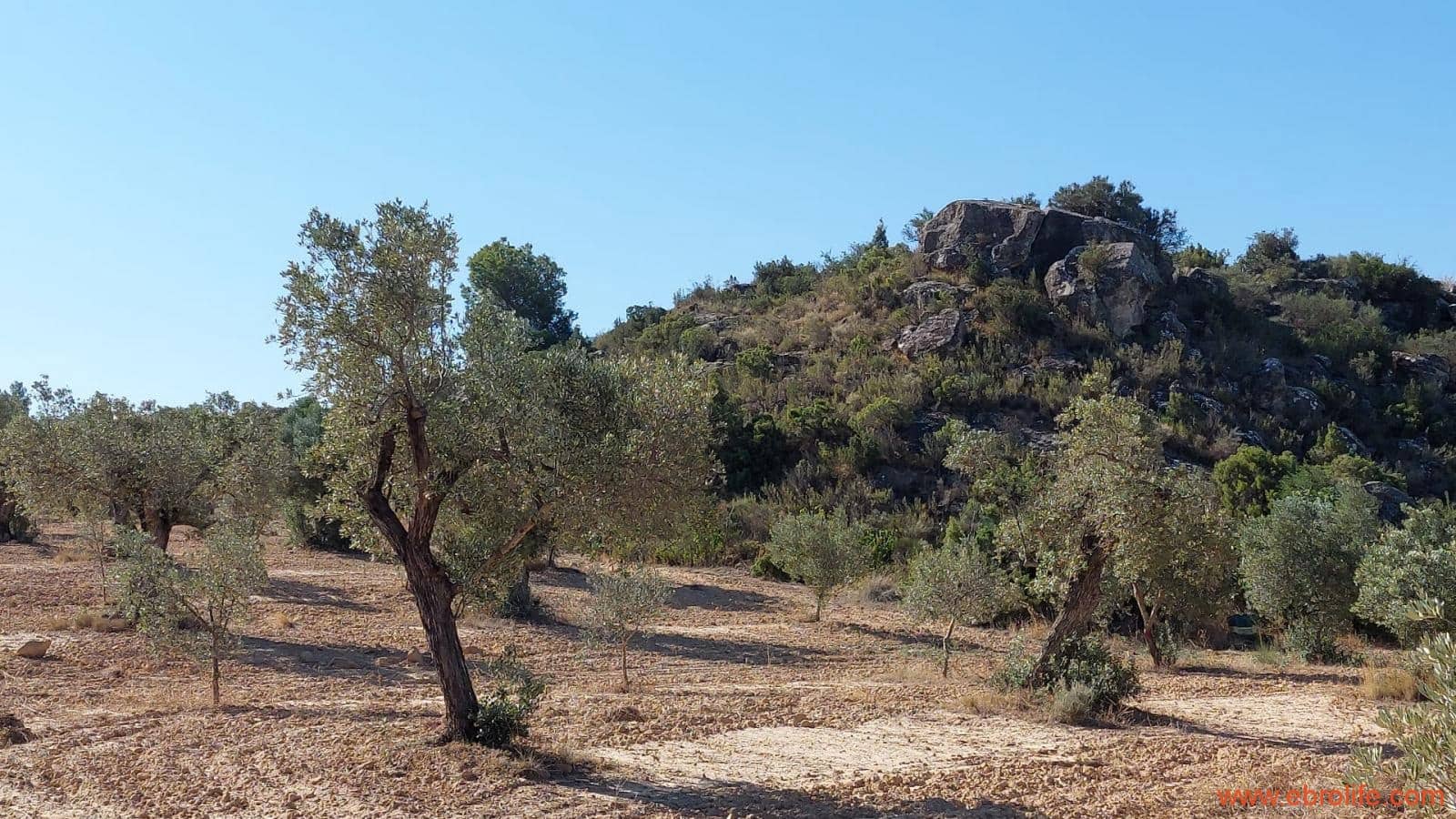 1 soveværelse Finca/Landehus til salg i Caspe - € 125.000 (Ref: 9248378)