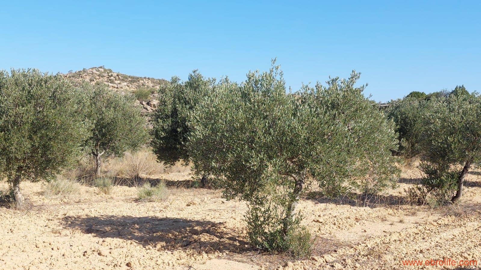 1 soveværelse Finca/Landehus til salg i Caspe - € 125.000 (Ref: 9248378)