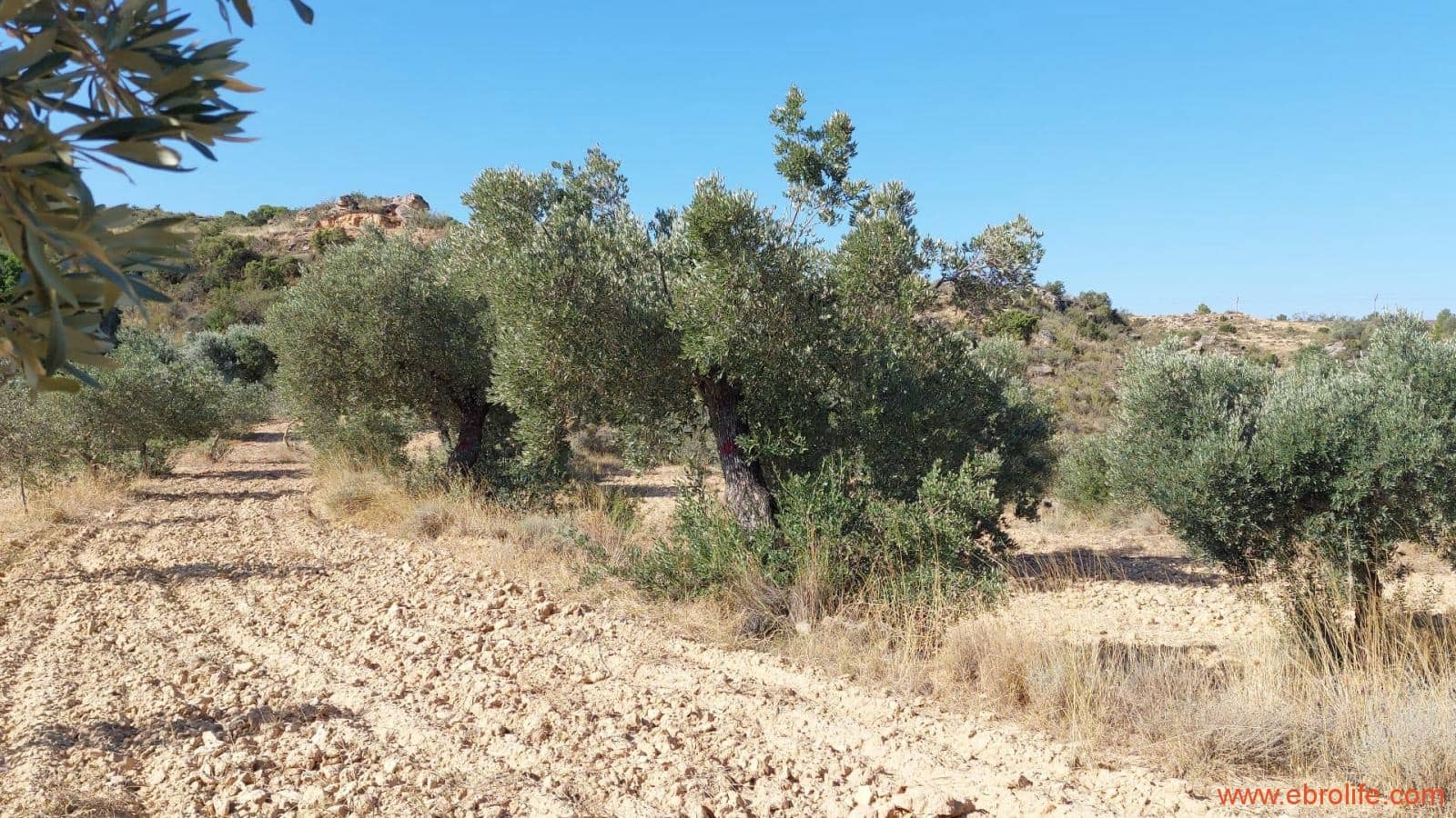 1 soveværelse Finca/Landehus til salg i Caspe - € 125.000 (Ref: 9248378)