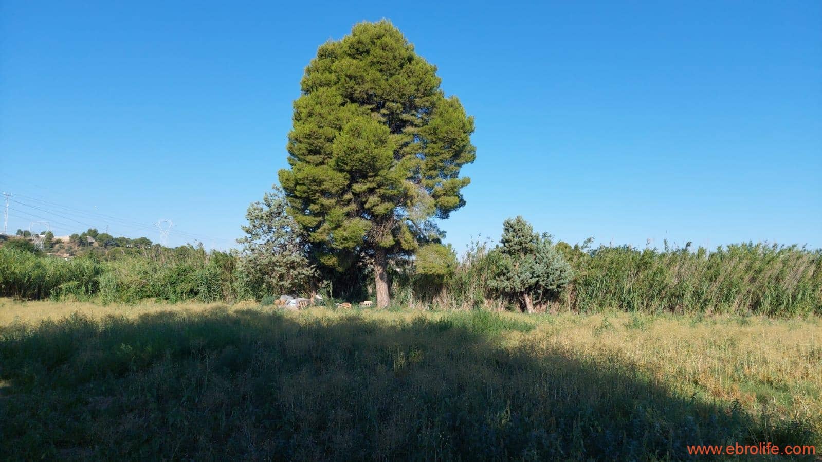 1 soveværelse Finca/Landehus til salg i Caspe - € 98.000 (Ref: 9248379)