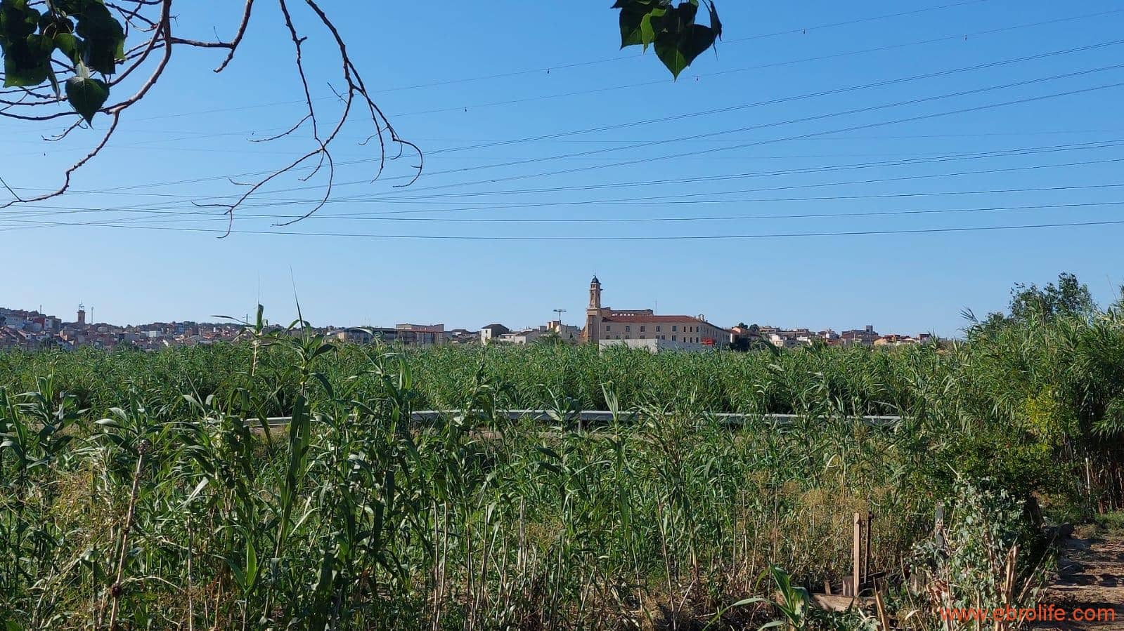 1 soveværelse Finca/Landehus til salg i Caspe - € 98.000 (Ref: 9248379)