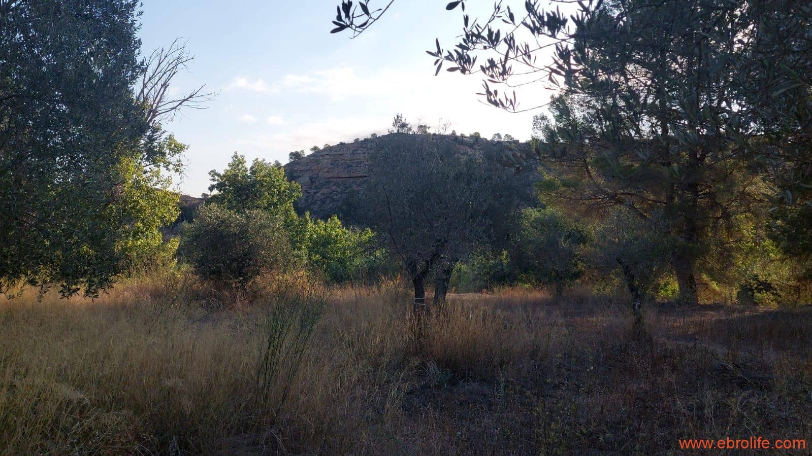 1 soverom Finca/Herregård til salgs i Caspe - € 28 000 (Ref: 9248380)